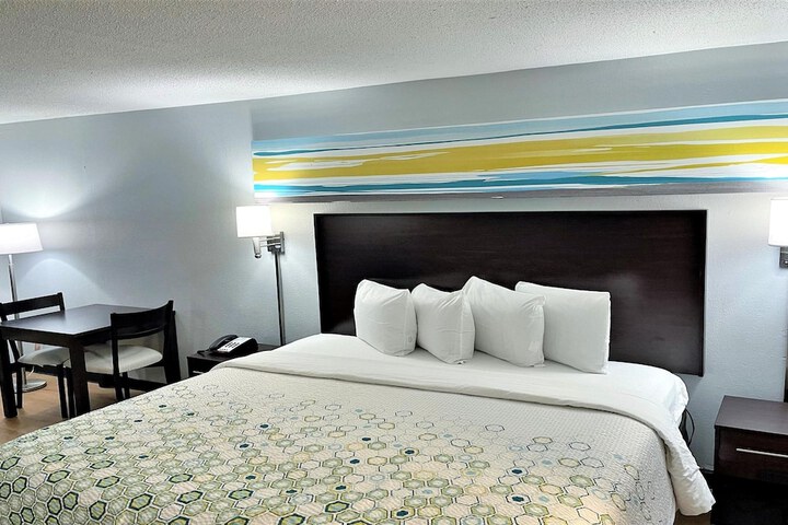 ADA Accessible Studio 1 King Bed Roll in Shower (11 of 14)