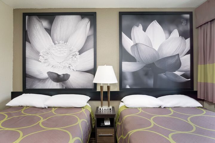 Standard Room, King or Two Doubles (4 of 7)