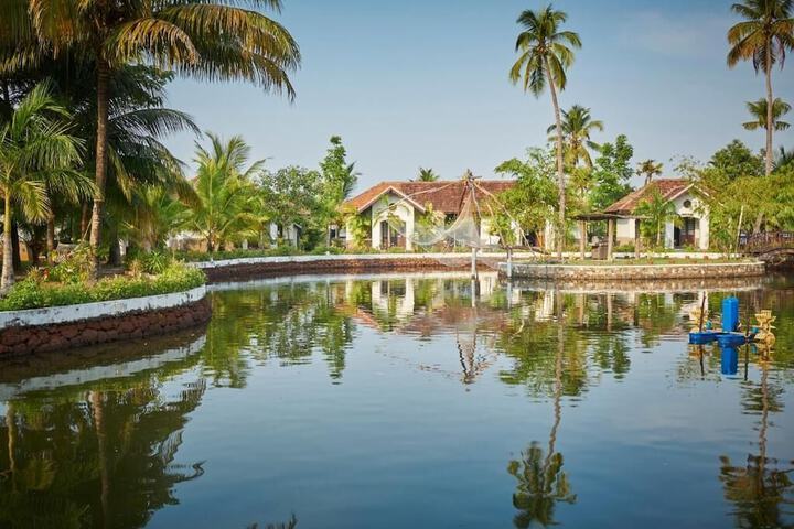 Pools & Facilities