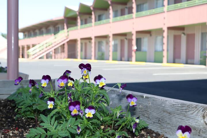 Hotel Exterior 25 of 27