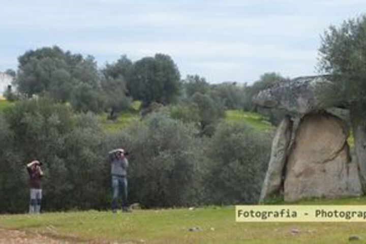 Outdoor Activities 3 of 60