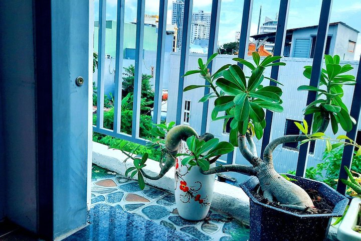 Terrace/Patio 37 of 73