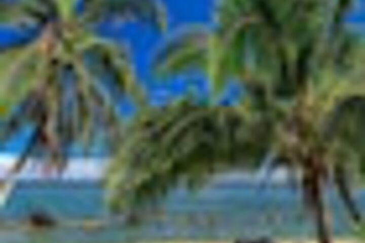 Beach 110 of 120