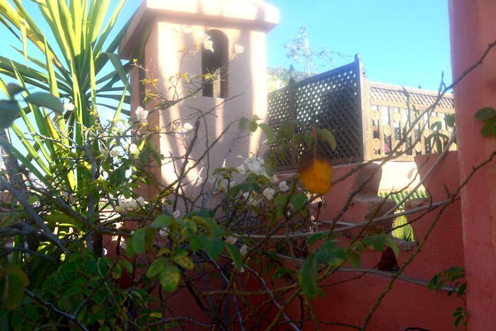 Terrace/Patio 97 of 107