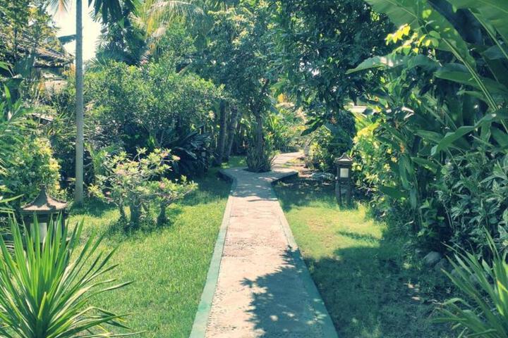 Photo 21
