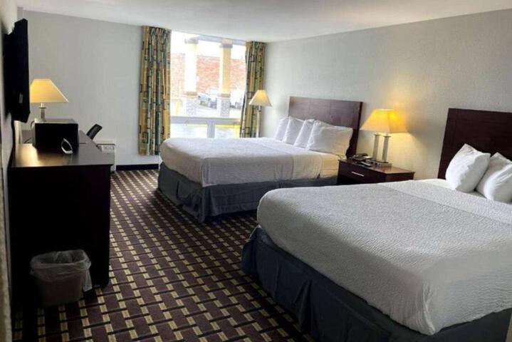 Suite Room