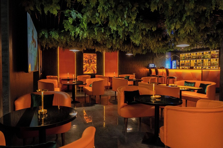 Lounge 61 of 77