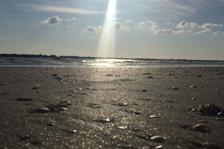 Beach 37 of 40