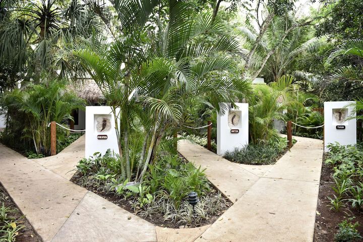 Interior entrance