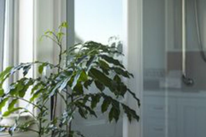 Hotel Interior 21 of 40