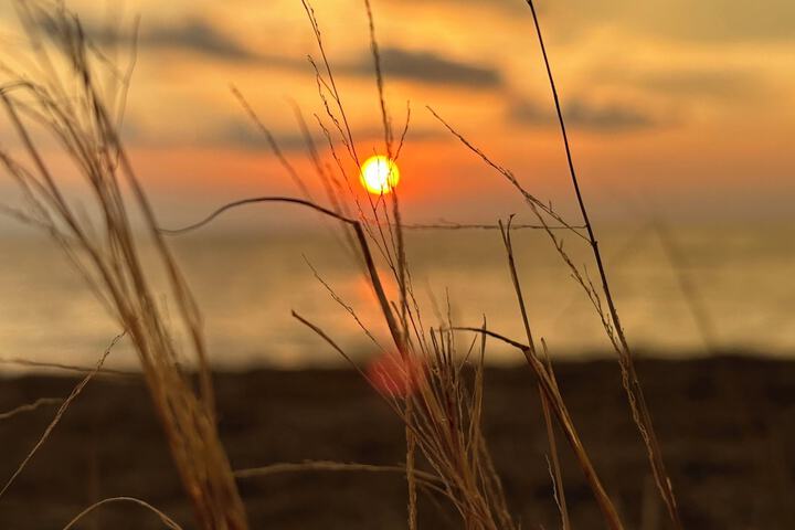 Property Grounds 22 of 25