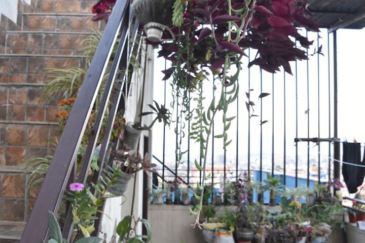 Terrace/Patio 23 of 48