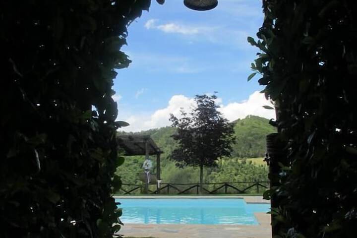Pool 11 of 31