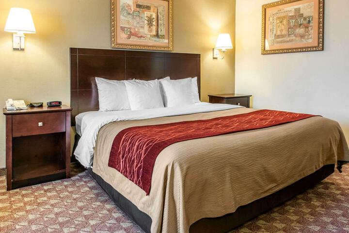 1 King Bed (9 of 9)