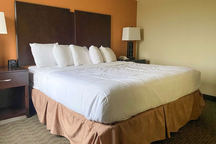 1 King Bed Suite (2 of 25)