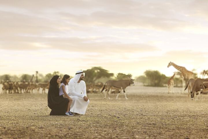 Safari