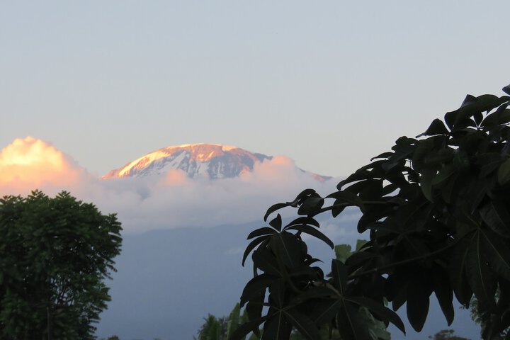 Kilimanjaro White House Hotel