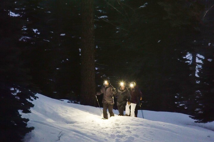 Snowshoeing