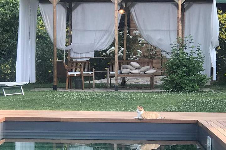 Pool 29 of 66