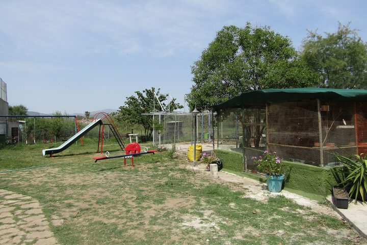 Childrens Activities 27 of 44