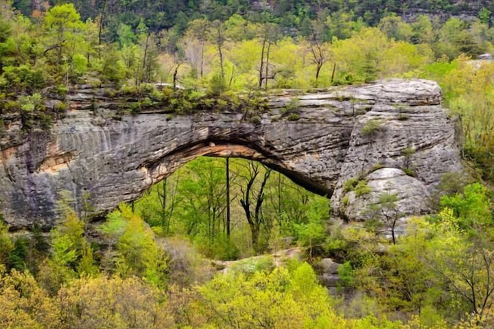 Property Grounds 27 of 34