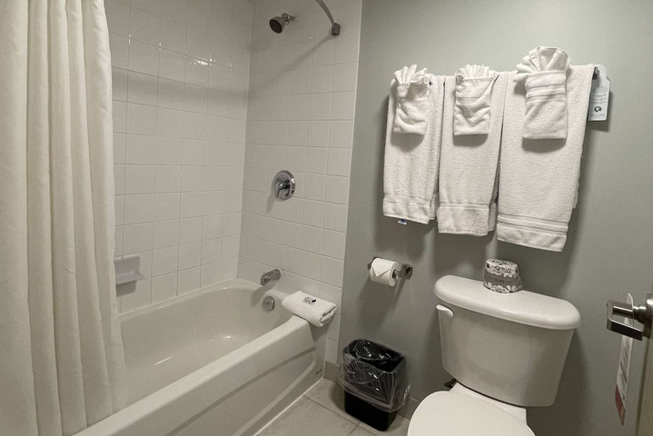 1 King Bed Mobility Accessible (13 of 34)