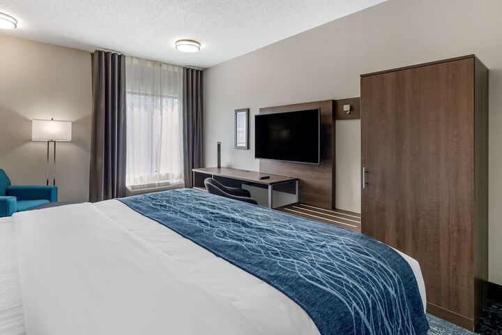 1 King Bed Pet Friendly (4 of 13)