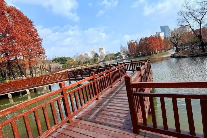 City view from property