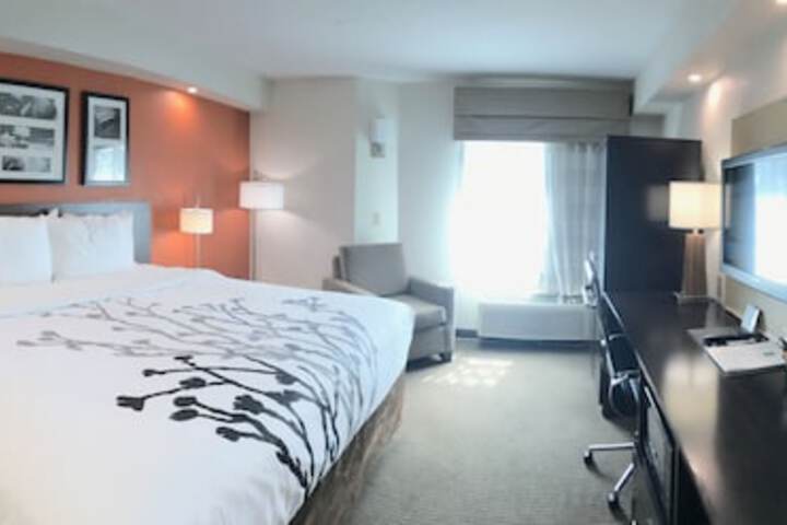 1 King Bed (7 of 10)