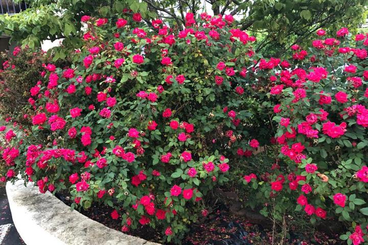 Fitness Center Photo