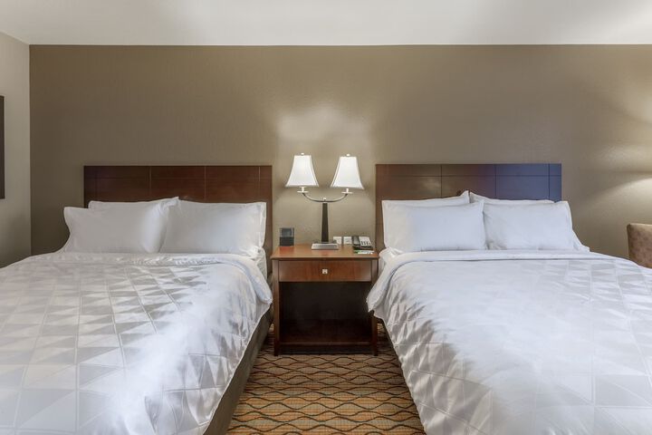 Standard 2 Queen Beds Accessible (19 of 31)
