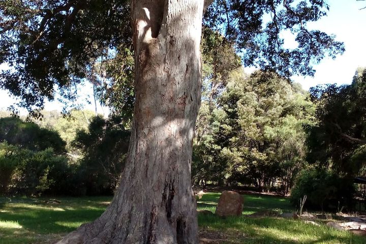 Hotel Exterior 53 of 62