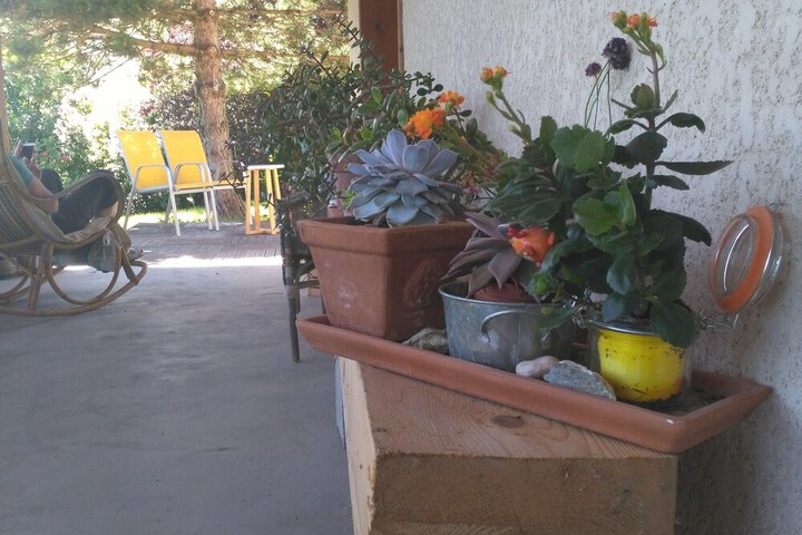 Photo 7