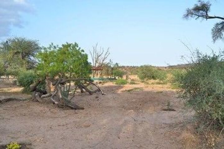 Property Grounds 17 of 26