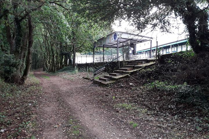 Property Grounds 49 of 65