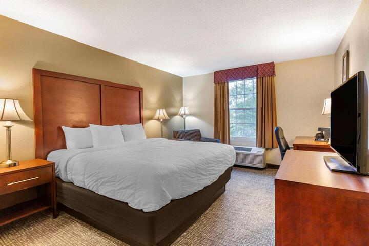 1 King Bed Accessible (11 of 15)