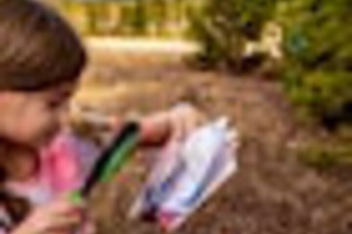 Childrens Activities 107 of 168