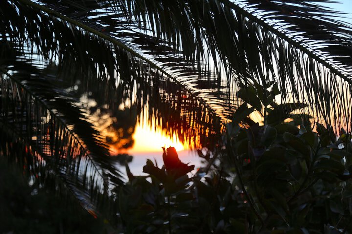 Beach 109 of 119