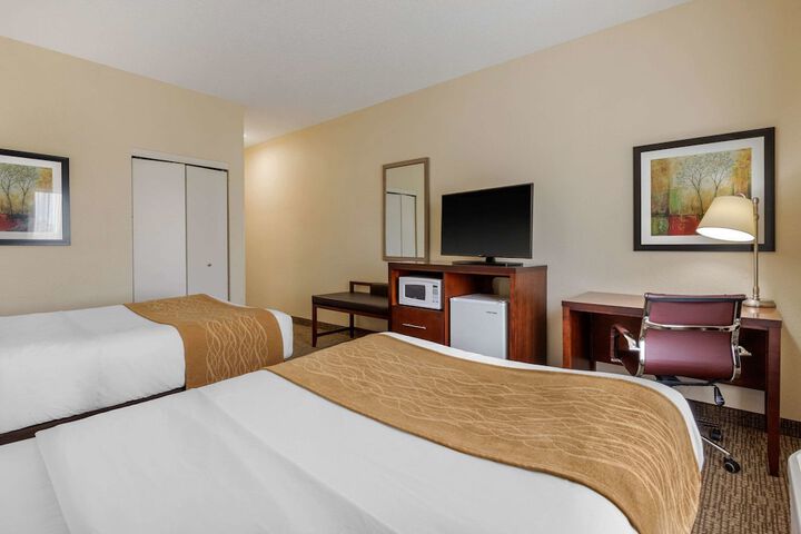Standard Room, King or Two Doubles (6 of 8)