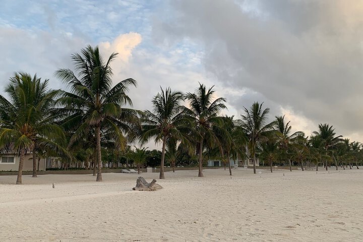 Beach 98 of 138