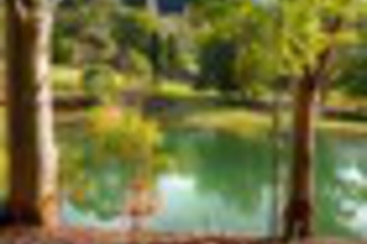 Pool 59 of 66
