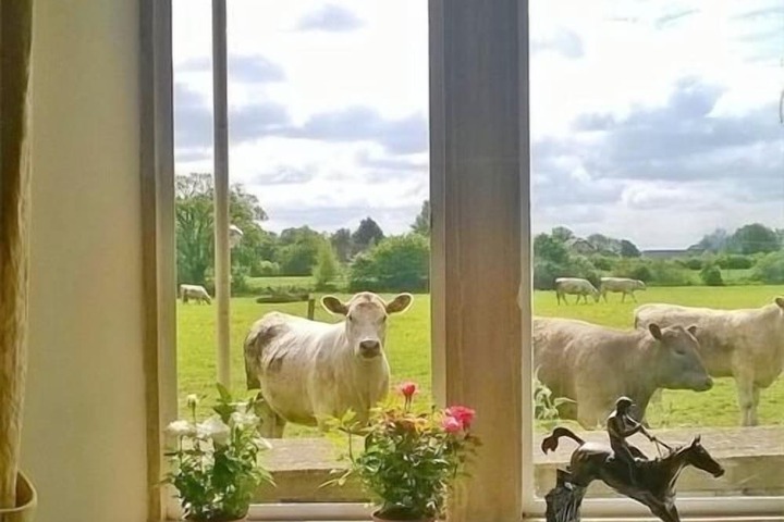 Battens Farm Cottages - B & B and Self-catering Accommodation