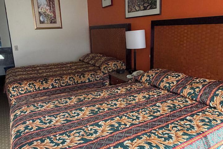 Room 4 of 19