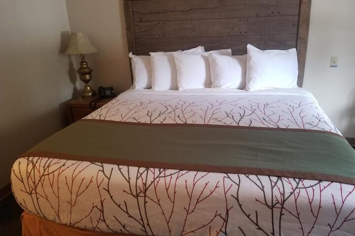 Room 6 of 35