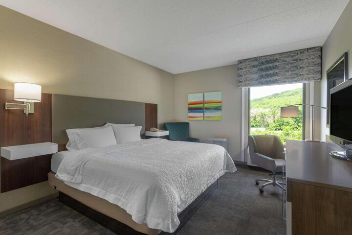 Standard Room, King or Two Doubles (2 of 3)