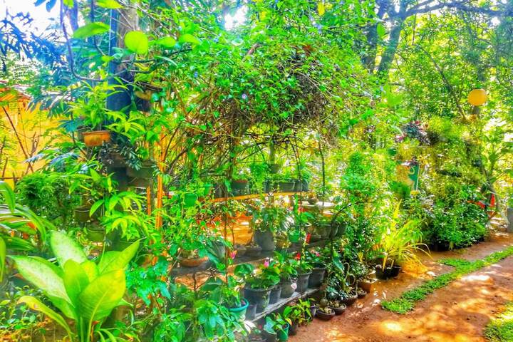 Property Grounds 36 of 49