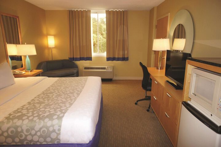 1 King Bed Mobility or Hearing Accessible Room Bathtub with Grab Bars (8 of 15)