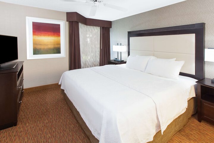 1 King Bed 1 Bedroom Suite (3 of 42)