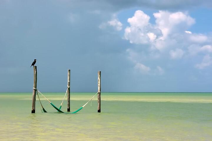 Beach 25 of 50