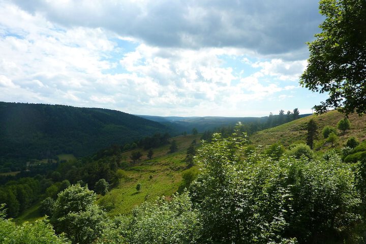 View from room